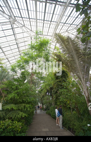 Gemäßigten Haus Kew Gardens UK Stockfoto