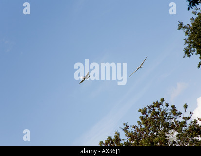 Segelflugzeug bis in die Luft gezogen Stockfoto