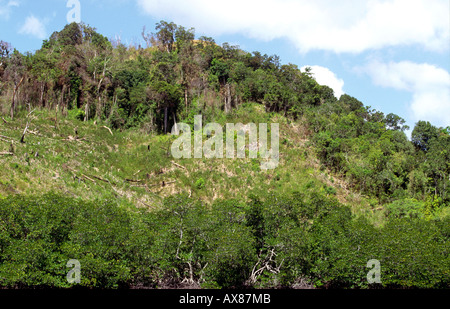 Philippinen-Palawan Umwelt Abholzung in der Nähe von Liminangcong Stockfoto