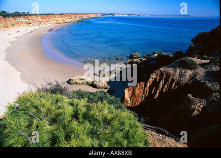 Geschwungene Sandstrand in der Sonne, Playa Cala del Aceite, Conil De La Frontera, Costa De La Luz, Andalusien, Spanien, Europa Stockfoto