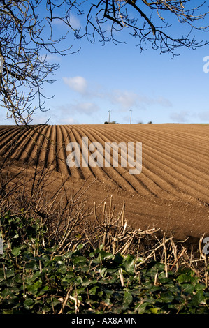 Frisch gepflügten Felder im Frühling - North County Dublin, Irland Stockfoto