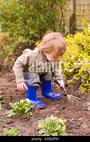 two year old boy digging with a hand fork in the garden. playing with soil Stockfoto