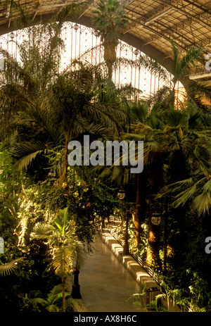 Atrium, tropischen Garten, Wartebereich, Central Mall, der Bahnhof Atocha, Madrid, Provinz Madrid, Spanien, Europa Stockfoto