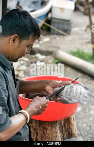 Keralite Fischhändler Skalierung Fisch zu öffnen Luft Fischmarkt auf dem Kai Fort Kochi Beach Cochin Kerala Süd-Indien Stockfoto
