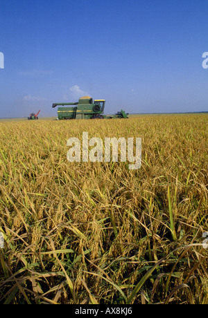 KOMBINATION VON LE BONNET REIS ARKANSAS Stockfoto