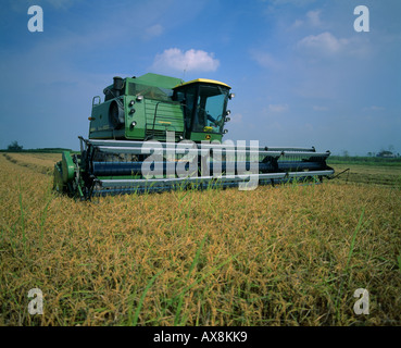 MIT JOHN DEERE 8820 TURBO REISERNTE KOMBINIEREN LOUISIANA Stockfoto