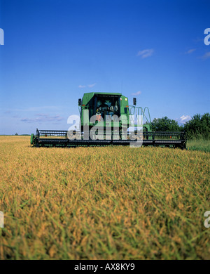 MIT JOHN DEERE CTS REISERNTE KOMBINIEREN LOUISIANA Stockfoto