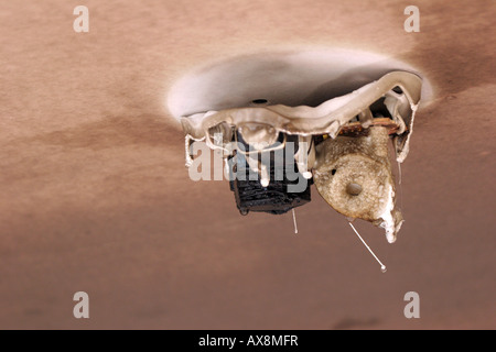 Ein Rauchmelder, der geschmolzen und aus einem Haus Feuer beschädigt ist Stockfoto