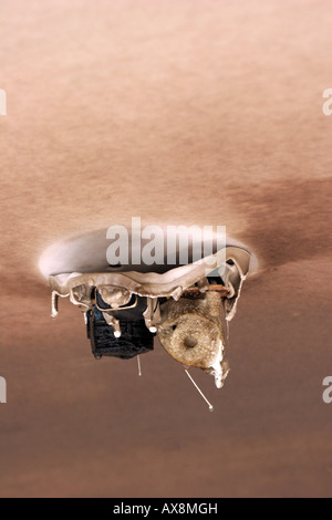 Ein Rauchmelder, der geschmolzen und aus einem Haus Feuer beschädigt ist Stockfoto