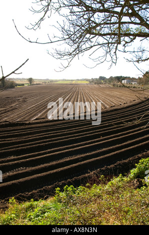 Frisch gepflügten Felder im Frühling - North County Dublin, Irland Stockfoto