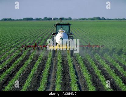 SEITE DRESSING MAIS MIT WASSERFREIEM AMMONIAK MIT JOHN DEERE 4840 MIT 12 ZEILE SYMBOLLEISTE UND ROLLEN GRUBBER ANHÄNGE ALS GUT Stockfoto