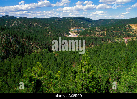 Blick von Rushmore Straßenbahn, Ponderosa Pinien, Ponderosa Kiefern, Pinien, Wald, Keystone, Black Hills, South Dakota, Vereinigte Staaten Stockfoto