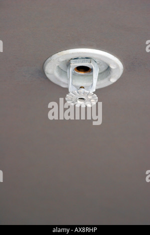 Eine gebrauchte Decke Sprinklerkopf, die einem Zimmerbrand gelöscht hat Stockfoto