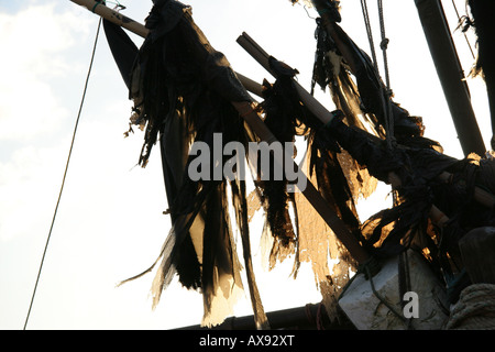 Zerrissene schwarze Fahnen auf Boot Stockfoto