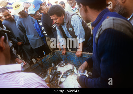 Verkauf eines Tage am Fisch Markt von den Wällen im Hafen von Essaouira, Marokko fangen Stockfoto