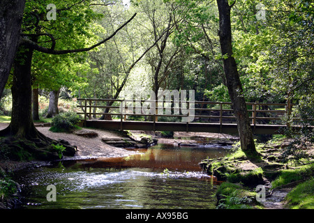 Brücke über einen bewaldeten Fluss, Brockenhurst, New Forest National Park Stockfoto