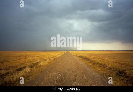 Gewitterwolken einziehen über der spanischen Ebenen in der Nähe von Medina del Campo, Castilla y Leon Provinz Stockfoto
