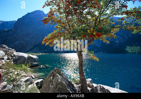 Wandern, Georges De La Restonica, Korsika, Frankreich Stockfoto