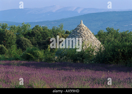 Borie Stone Hütte, Luberon Bergen Provence, Frankreich Stockfoto