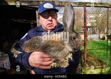 Deutsche Kaninchen Züchter Karl Szmolinsky mit seinem Riesen-Kaninchen Stockfoto