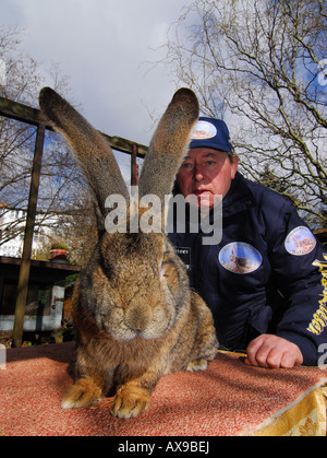 Deutsche Kaninchen Züchter Karl Szmolinsky mit seinem Riesen-Kaninchen Stockfoto