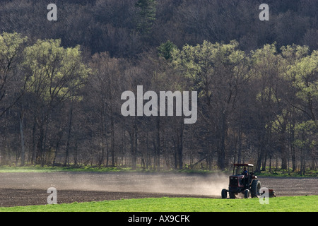 Landwirt Traktor Aussaat ein großes offenes Feld im Frühjahr, erstellen eine Wolke von Staub, Blätter an Bäumen im Hintergrund entstehen. Stockfoto