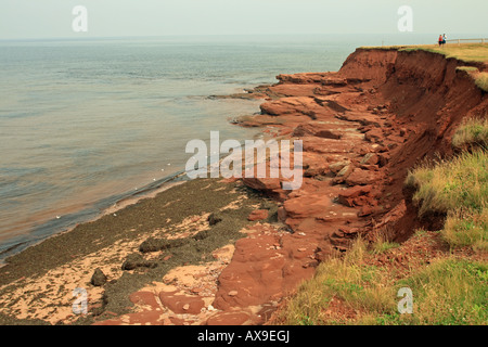 Roten Sandsteinfelsen an dasmitden Spitze in der Nähe von Cavendish, PEI, Prince-Edward-Insel, Kanada Stockfoto