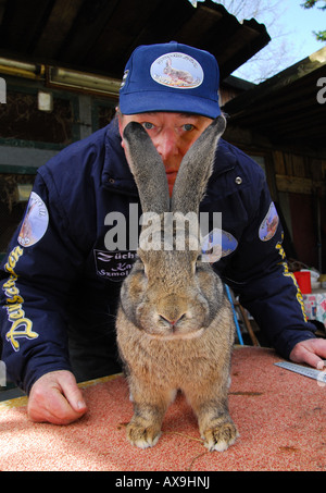 Deutsche Kaninchen Züchter Karl Szmolinsky mit seinem Riesen-Kaninchen Stockfoto