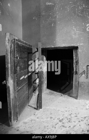 Die Stock Eingang schlüpfen in eine Strafe Zelle Block 11, Museum Auschwitz-Birkenau, Oswiecim, Polen. ISO3200 Stockfoto