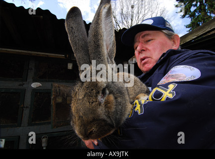 Deutsche Kaninchen Züchter Karl Szmolinsky mit seinem Riesen-Kaninchen Stockfoto