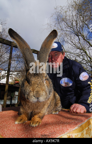 Deutsche Kaninchen Züchter Karl Szmolinsky mit seinem Riesen-Kaninchen Stockfoto