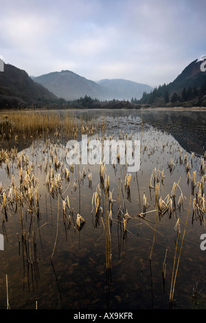 Frostiger Morgen über unteren See Glendalough Co Wicklow Irland Stockfoto