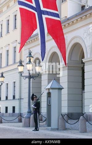 Wache, Royal Gardist vor dem Königspalast, Oslo, Noru, Norwegen Stockfoto