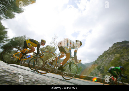 Eine Gruppe von Radfahrern, Amateur-Radrennen, in der Nähe von Selva, Mallorca, Balearen, Spanien Stockfoto