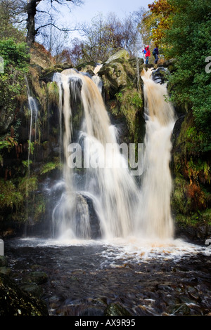 Wanderer durchqueren Posforth Gill Wasserfall in The Valley of Desolation in der Nähe von Bolton Abbey Yorkshire Dales National Park England Stockfoto