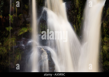 Posforth Gill Wasserfall in The Valley of Desolation in der Nähe von Bolton Abbey Yorkshire Dales National Park England Stockfoto