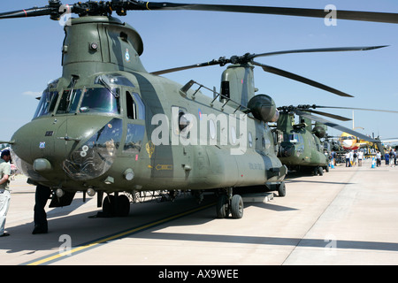 RAF Chinook auf statische Anzeige RIAT 2005 RAF Fairford Gloucestershire England UK Stockfoto