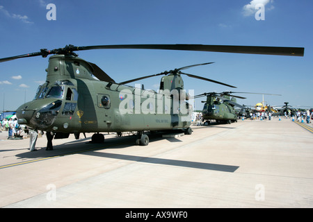 RAF Chinook auf statische Anzeige RIAT 2005 RAF Fairford Gloucestershire England UK Stockfoto