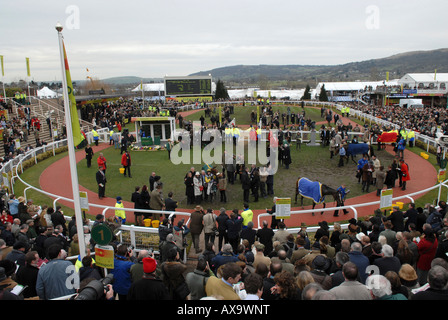 Das Gewinner-Gehäuse am Gold Cup Tag Prestbury Racecourse in Cheltenham National Hunt Festival Stockfoto