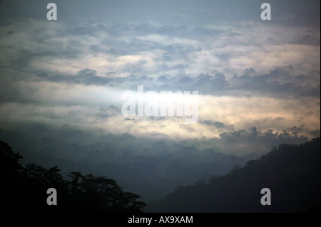 Panamalandschaft mit nebligen Regenwäldern bei Sonnenaufgang, von Cerro Pirre aus gesehen, im Nationalpark Darien, Provinz Darien, Republik Panama, Mittelamerika Stockfoto