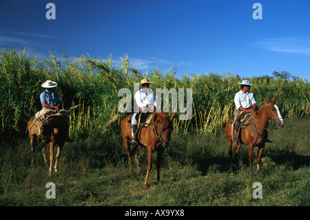 Gauchos, Reiten, Esteros del Iberá, Corrientes, Argentinien Stockfoto