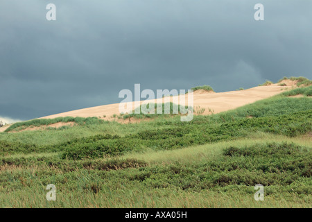 parabolische Düne Greenwich pei Kanada Stockfoto