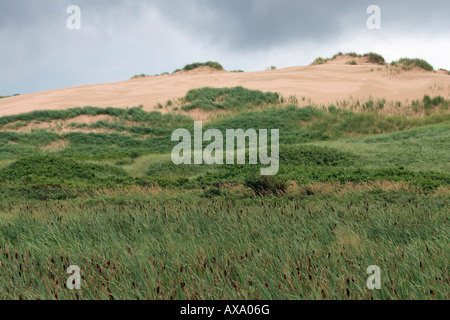 parabolische Düne Greenwich pei Kanada Stockfoto