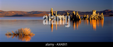 Tuffstein Türme, South Tufa Aerea, Mono Lake, Kalifornien, USA Stockfoto