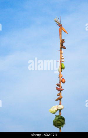 Post auf Boot das Gemüse zum Verkauf auf dem schwimmenden Markt am Mekong River Cantho Mekong Delta Vietnam anzeigen Stockfoto