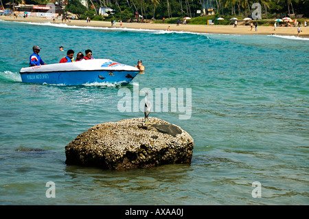 Bootfahren am Kovalam als Riff Reiher kühlt sich auf einer nahe gelegenen Felsen. Stockfoto