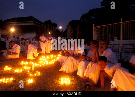 Poya Festlichkeit, Maha Bodi Tempel, Anuradhapura, North Central Province, Sri Lanka Stockfoto