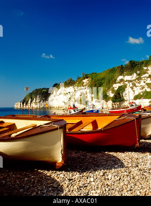 Angeln Boote Bier Devon UK Stockfoto