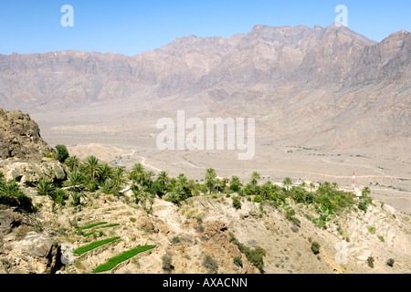 Das Dorf Wekan und seine Plantagen befindet sich hohe Ghubrah Bowl und Umgebung der Jebel Akhdar Gebirge im Oman. Stockfoto