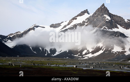 schneebedeckte Berge mit Pinguinen unten im Tal Stockfoto